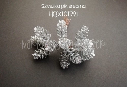 HQX101991.jpg
