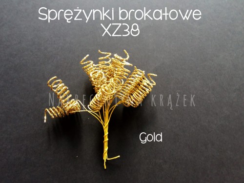 xz38.jpg