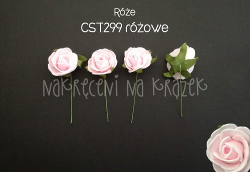 cst299r.jpg