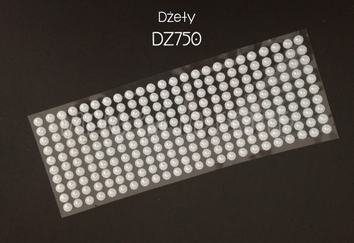 dz750.jpg