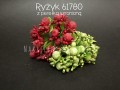 61780.jpg