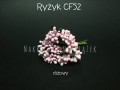 cf52r.jpg