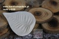 mold z-028 gwiazda betlejemska poisencja.jpg