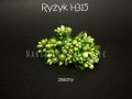 h315z.jpg