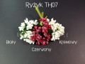 th07.jpg
