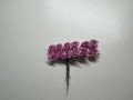 IMG_2293.jpeg