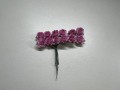 IMG_2294.jpeg