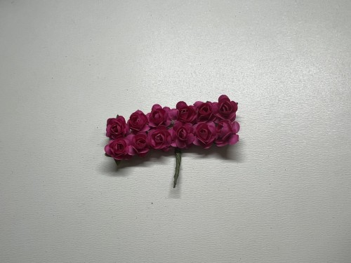 IMG_2295.jpeg
