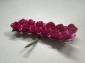 IMG_2296.jpeg