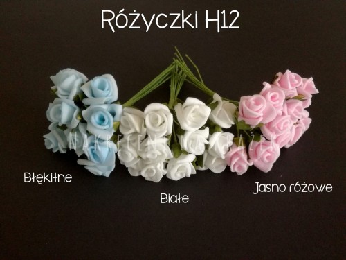h12.jpg