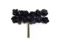 różyczki papierowe kalina 61571-9 czarne black.jpg