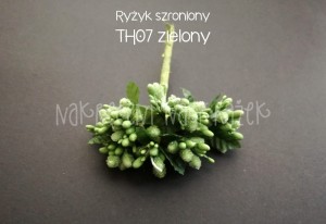 Ryżyk szroniony zielony
