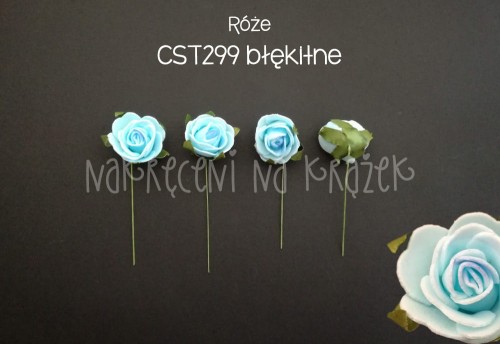 cst299b.jpg