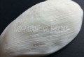 foamiran Lina Shvets mold m-134 1.jpg
